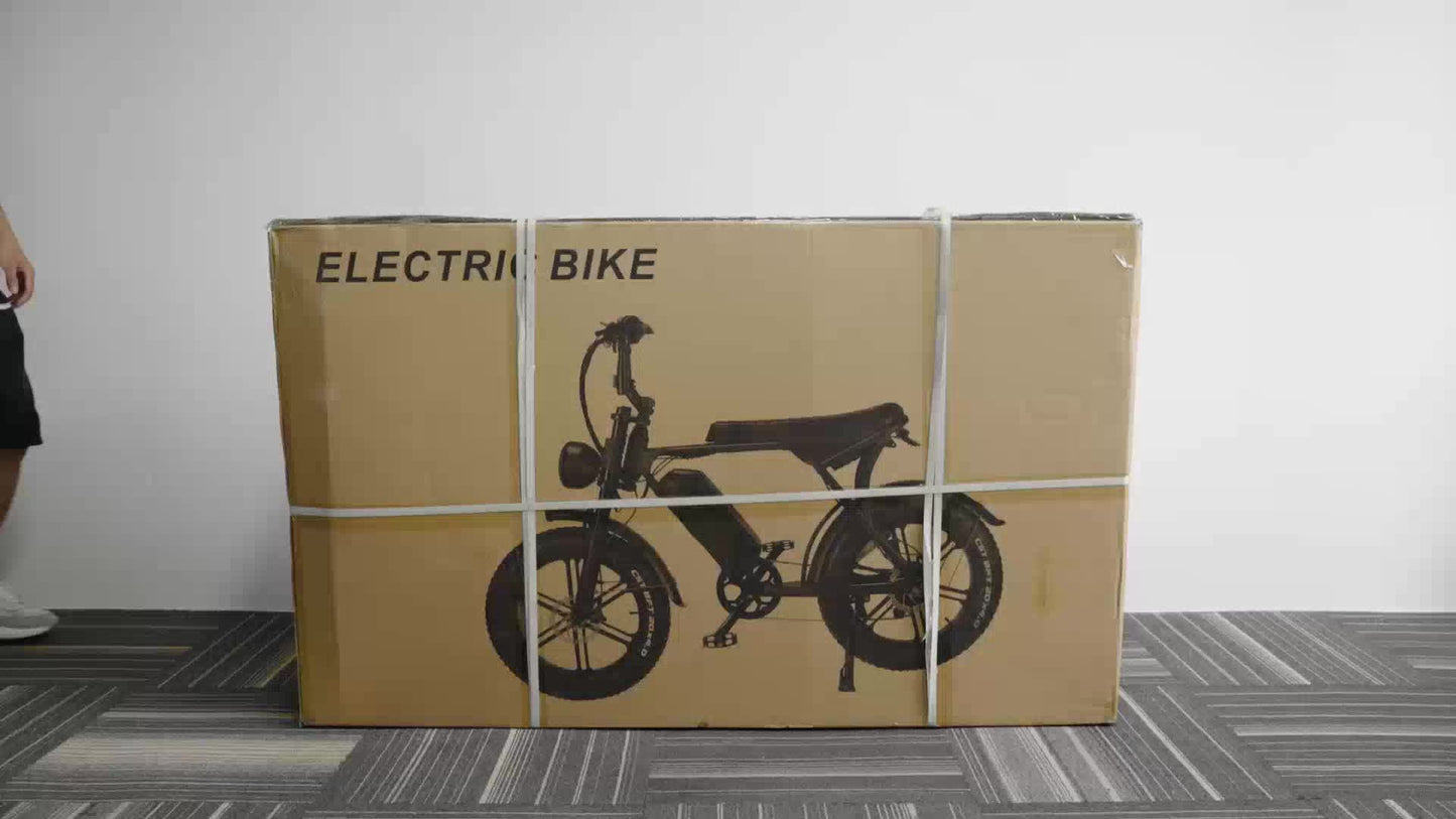 1-Pedal /Electric Bike - Heavy-Duty All-Terrain 20" Tire Electric Mountain Bike with 740W Motor, 48V 15Ah Removable Battery, 7-Speed Gear System, Front/Rear Disc Brakes, Global Voltage 100-240V, Global Plug Compatibility, All