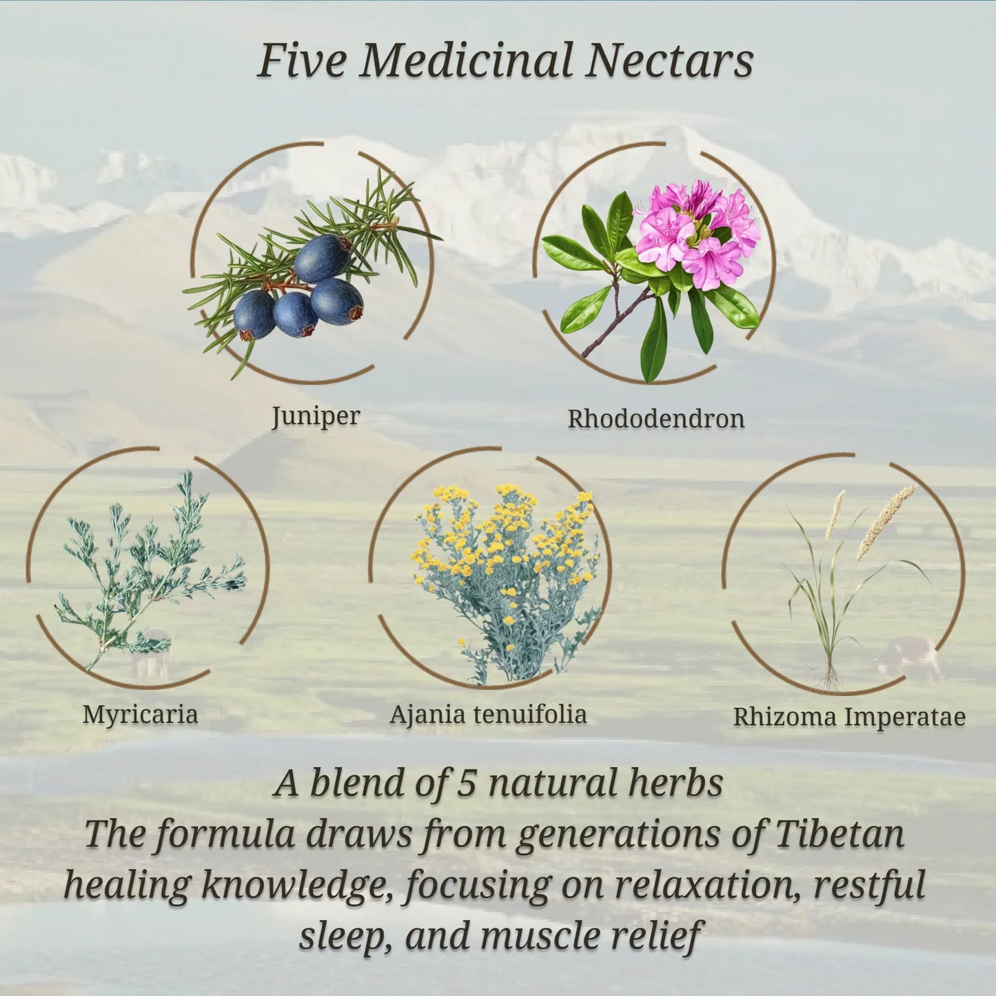 CheezhengHimalaya Tibetan Herbal Bath Therapy. Bath Bomb Gift Set, Tibetan Herbal Formula, Five Medicinal Nectars,