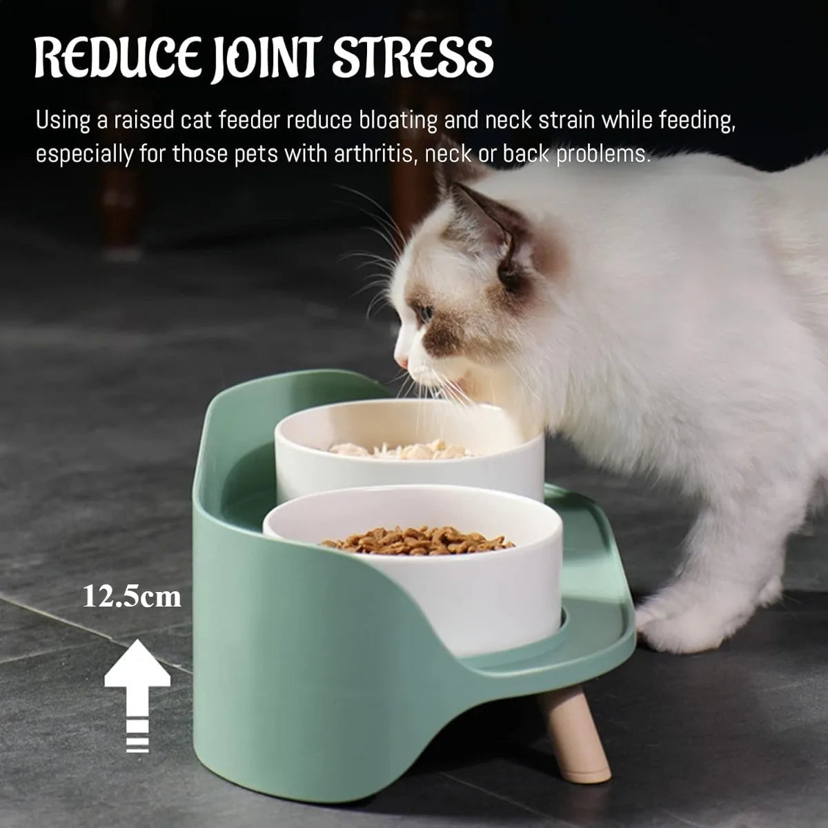 Elevated Dog & Cat Bowls Set Plastic Raised Anti-Slip Double Water Feeder Bowls Spine Protection for Cats Dogs Dinning Table New