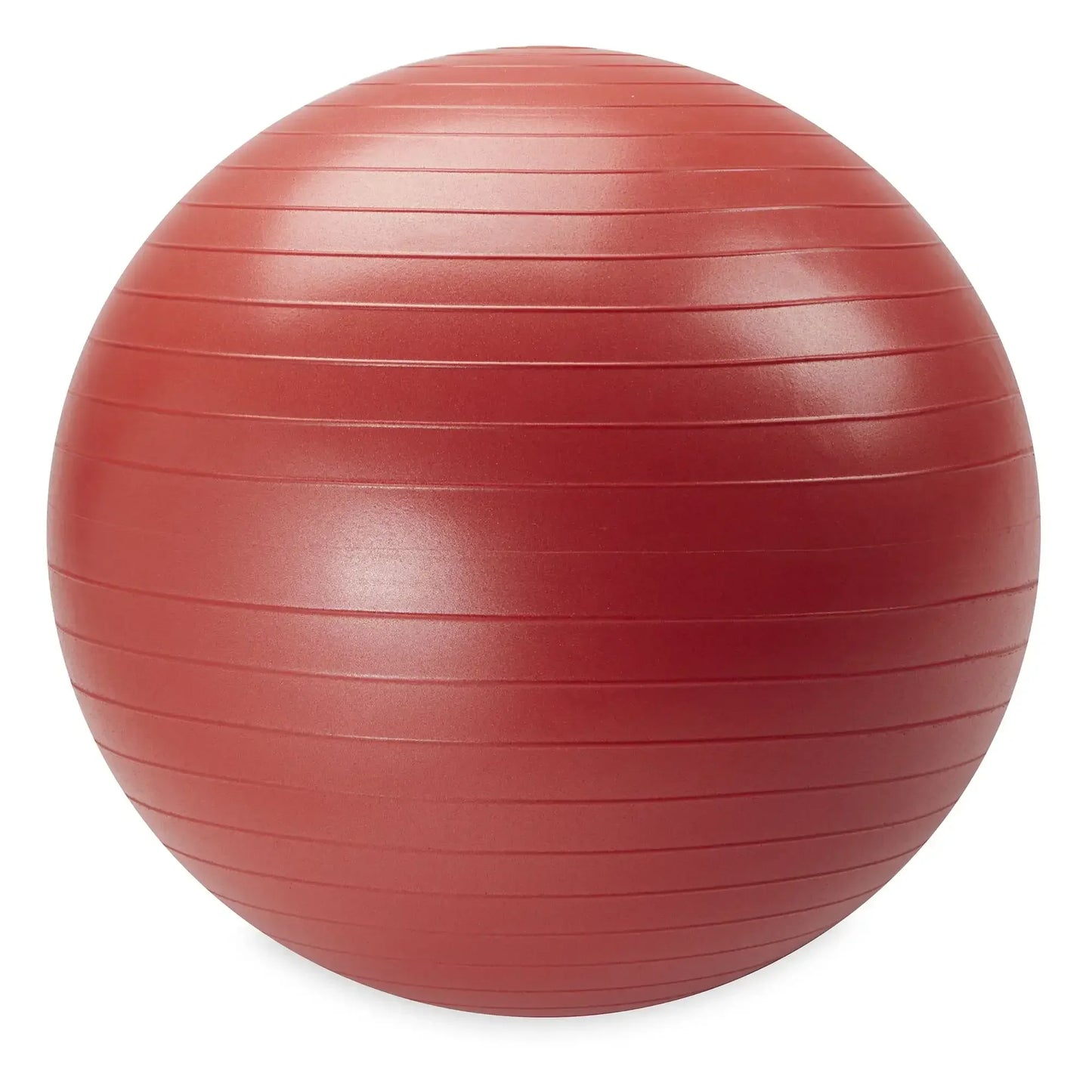 55-75CM Weighted Stability Ball with Pump, Anti-Burst Exercise Yoga Ball for Home Gym, Balance & Core Training